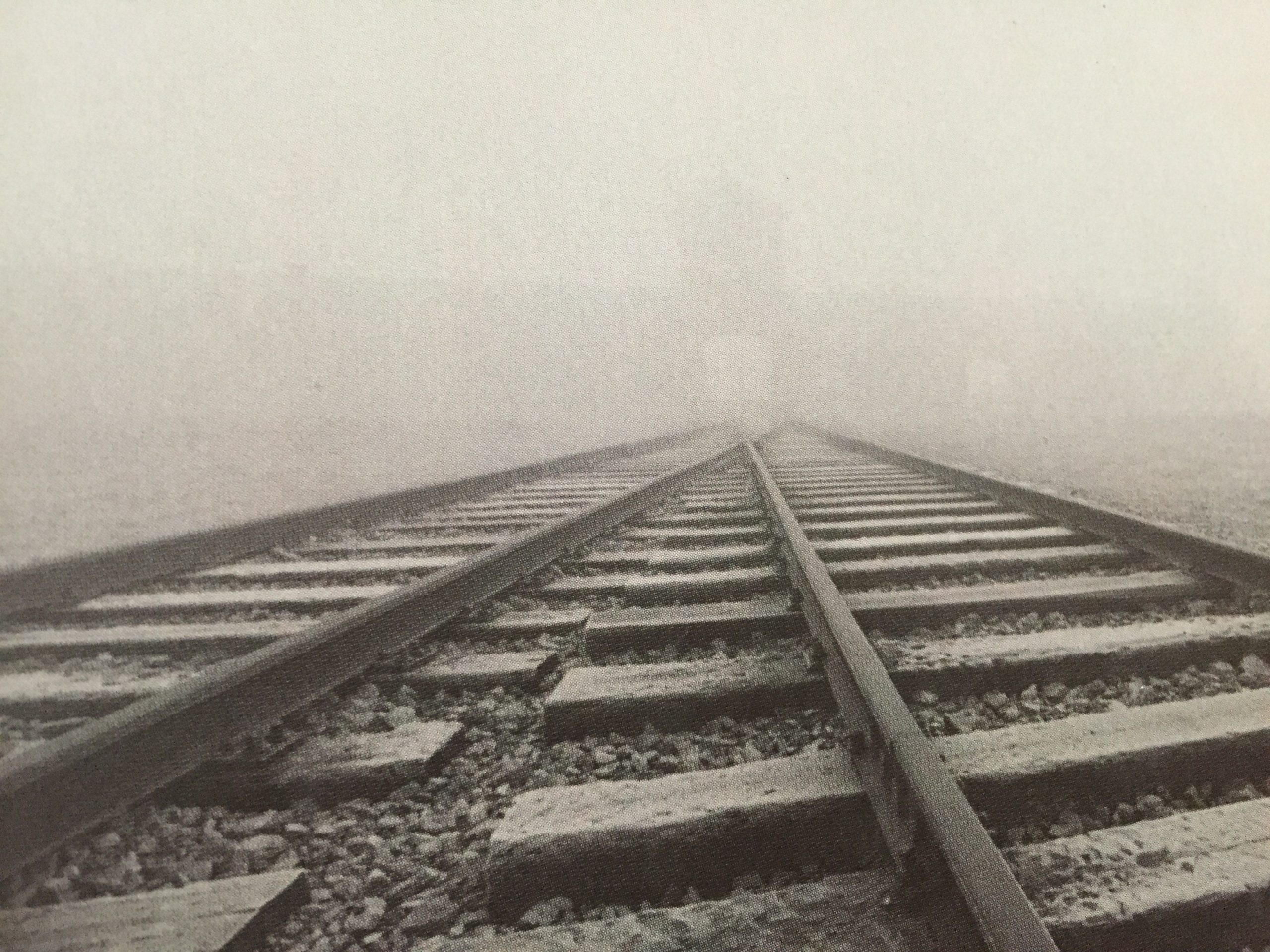Rails Birkenau