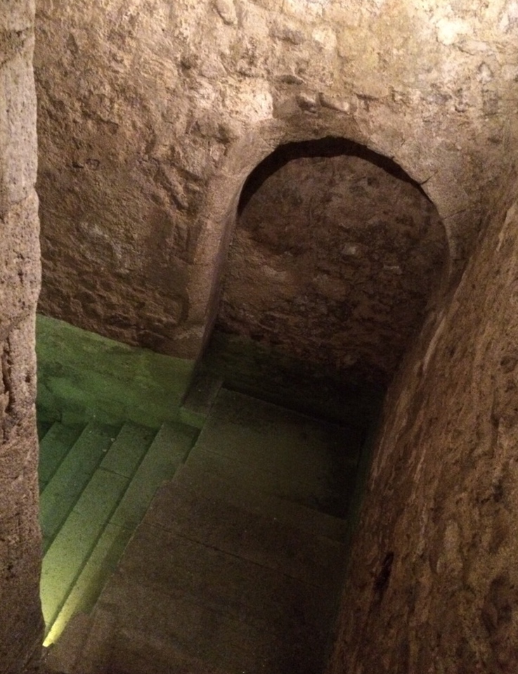 arche_2